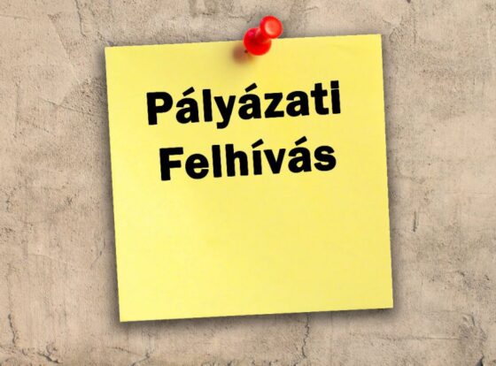 Pályázati hirdetmény – 8,11 nm-es üzlethelyiség bérlésére