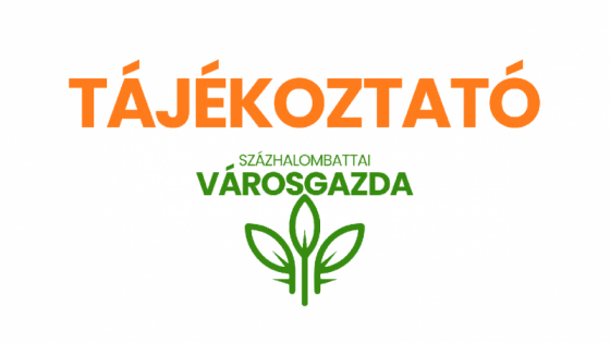 Gallyazási munkák a Százhalom Egészségügyi Központ épülete előtt